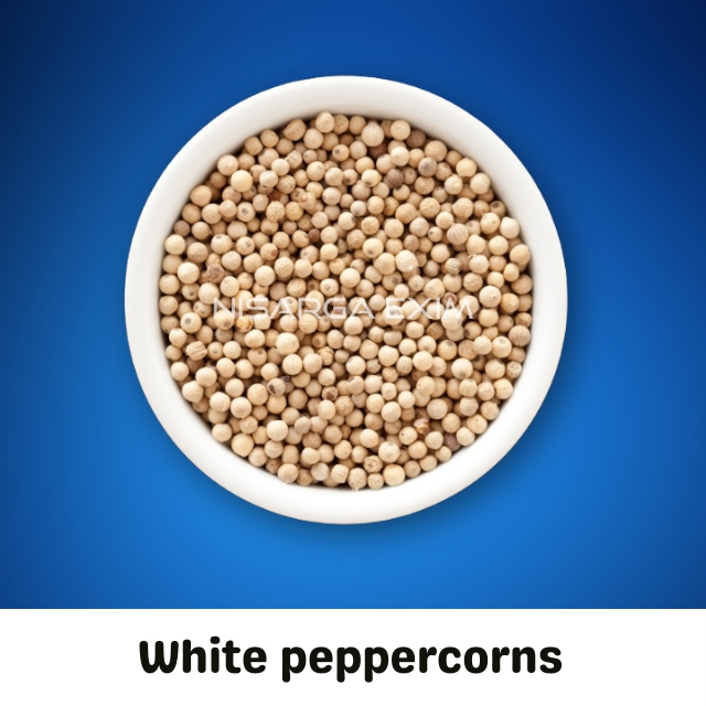 xr:d:daf6vtzc1fi:57,j:5365329060640871024,t:24011918